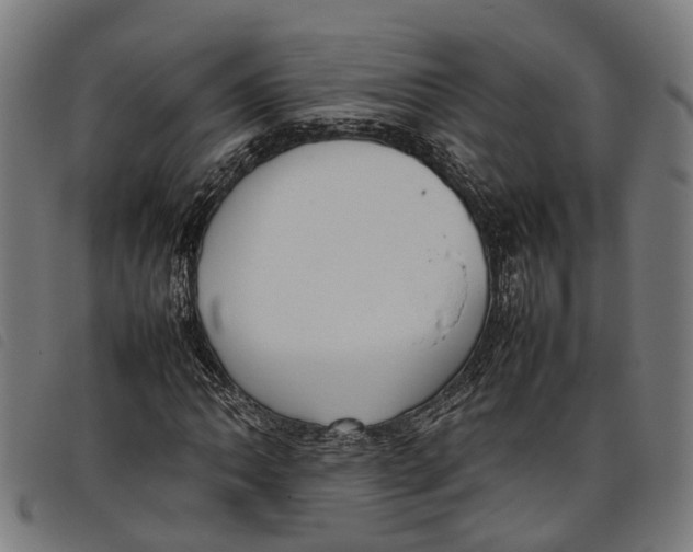 X0000097801062200804041309