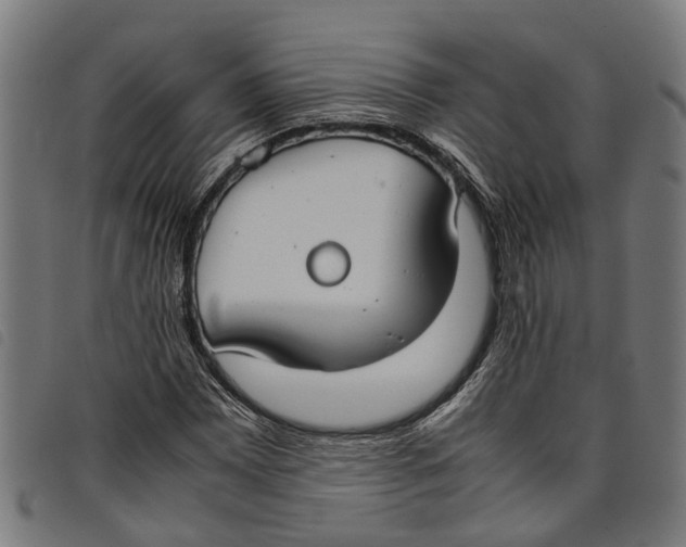 X0000097801065200804041309