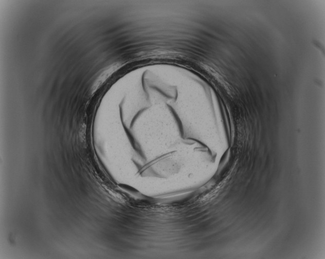 X0000097801066200804041309