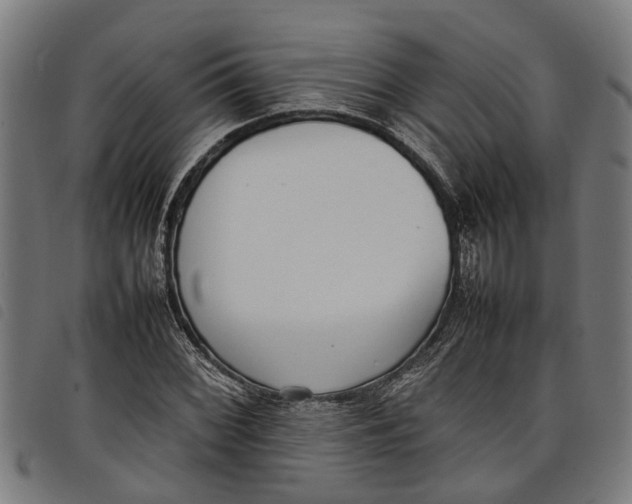 X0000097801068200804041309