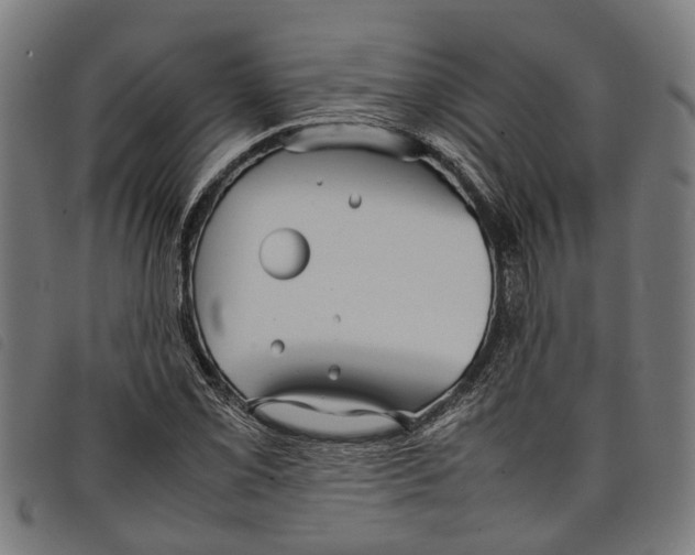 X0000097801069200804041309