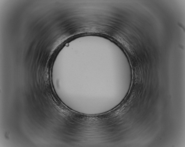 X0000097801070200804041309