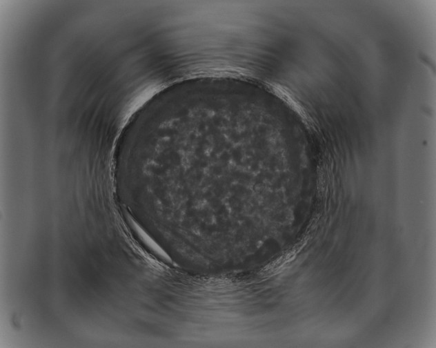 X0000097801071200804041309