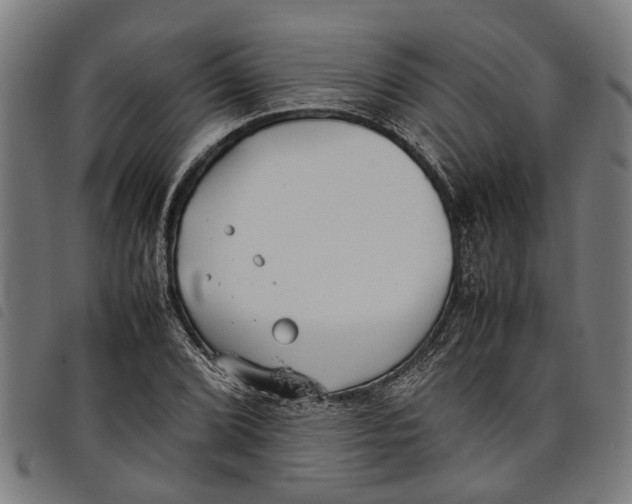 X0000097801072200804041309