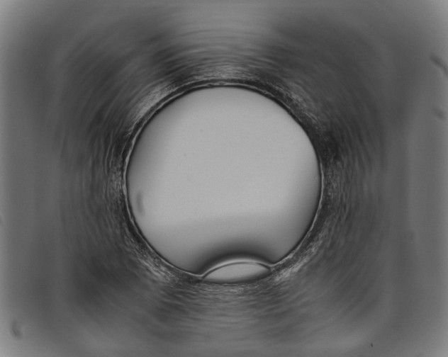 X0000097801073200804041309