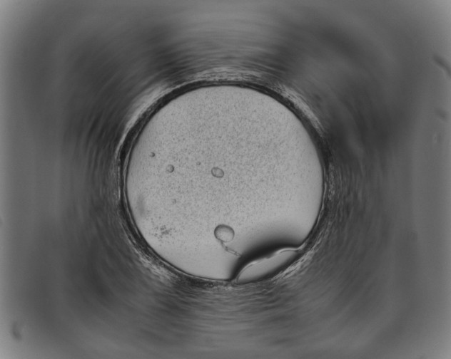 X0000097801075200804041309