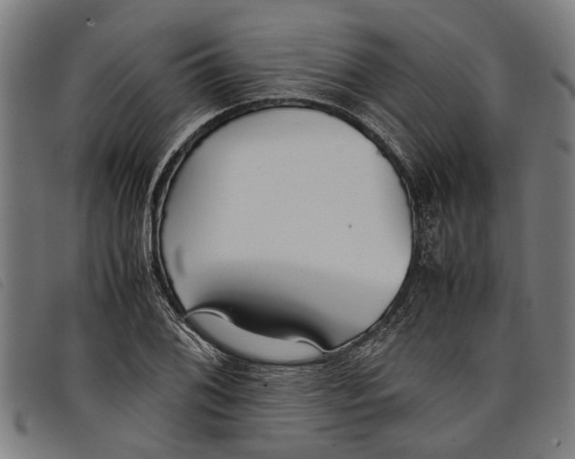 X0000097801076200804041309