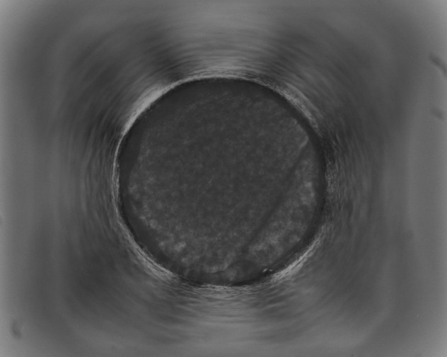 X0000097801077200804041309