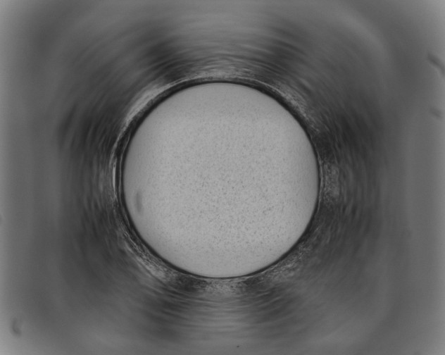 X0000097801078200804041309