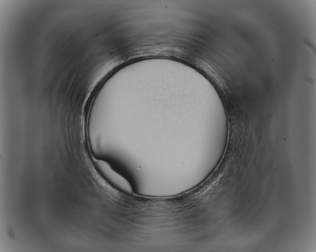 X0000097801079200804041309