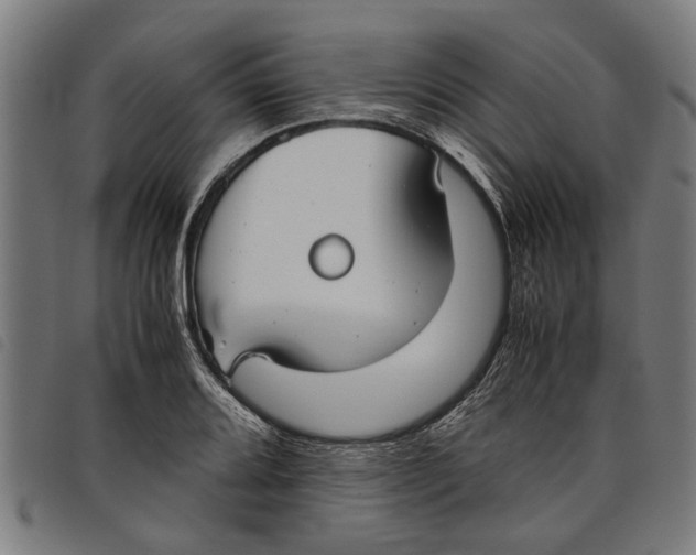 X0000097801080200804041309