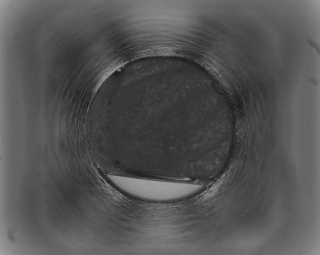 X0000097801081200804041309