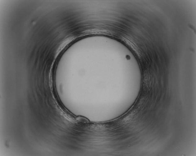 X0000097801082200804041309