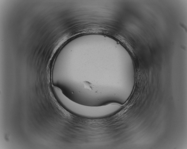 X0000097801083200804041309