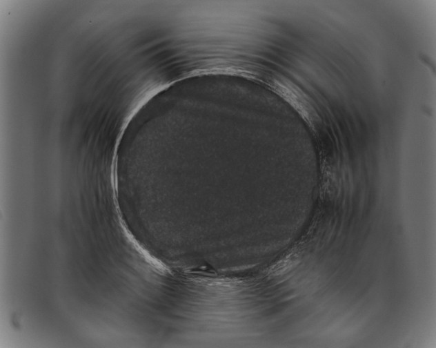 X0000097801084200804041309