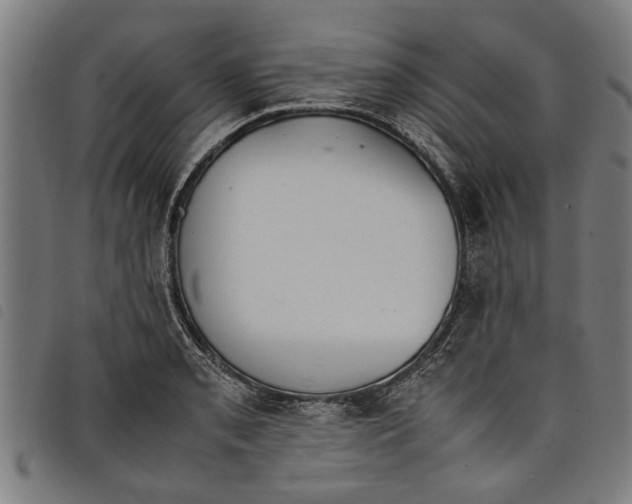 X0000097801085200804041309