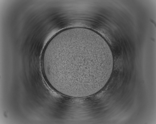 X0000097801086200804041309