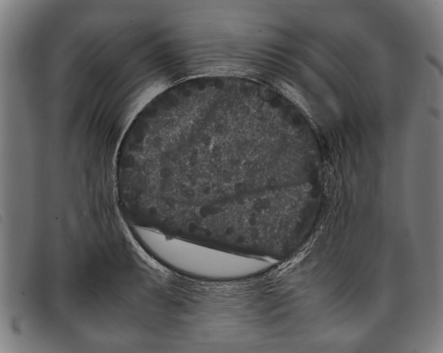 X0000097801087200804041309