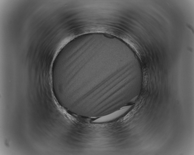 X0000097801088200804041309