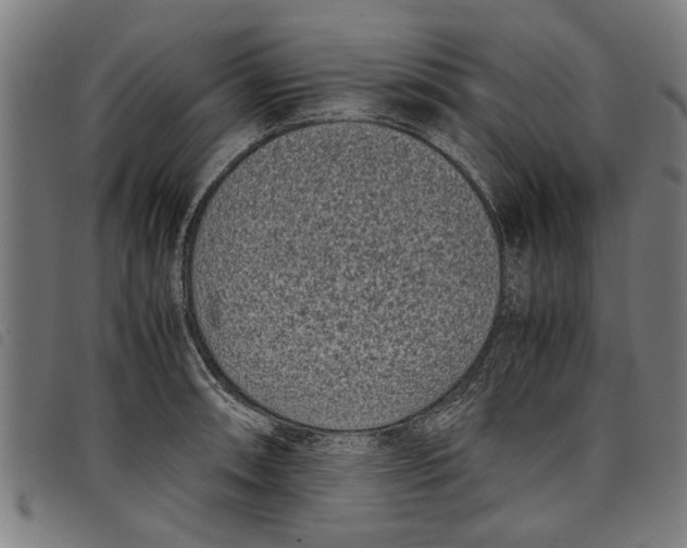 X0000097801090200804041309