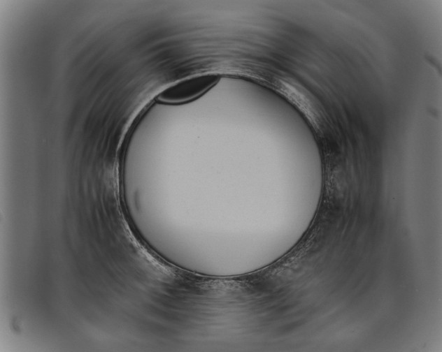 X0000097801092200804041309