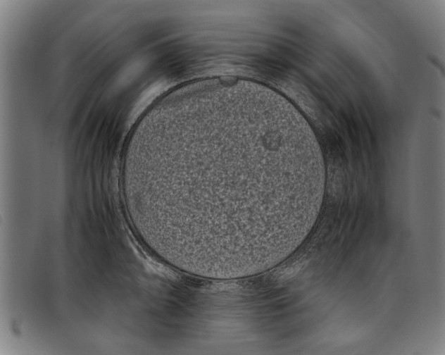 X0000097801094200804041309