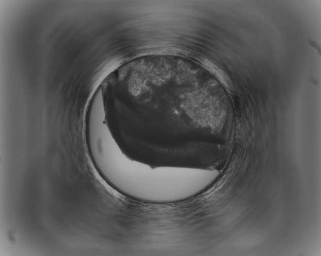 X0000097801095200804041309