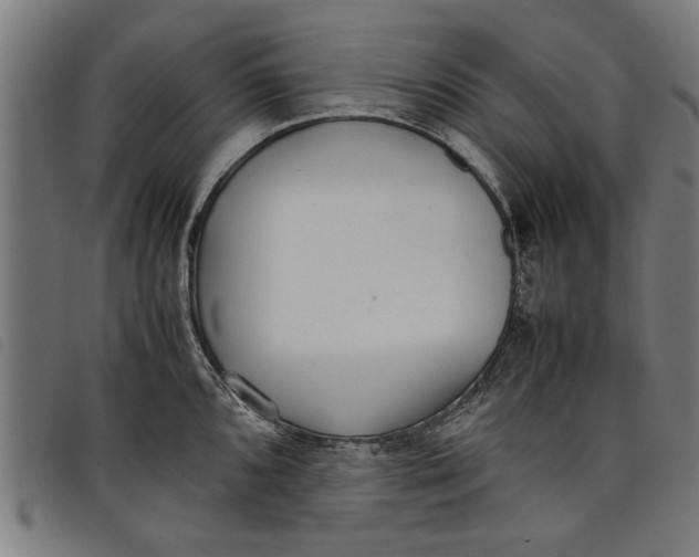 X0000097801096200804041309