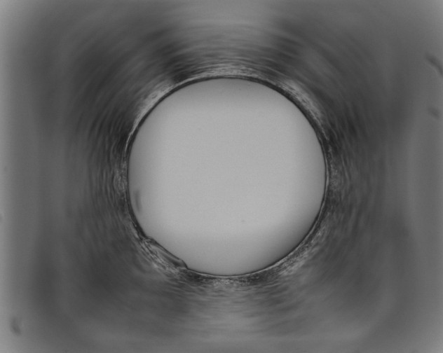 X0000097801097200804041309