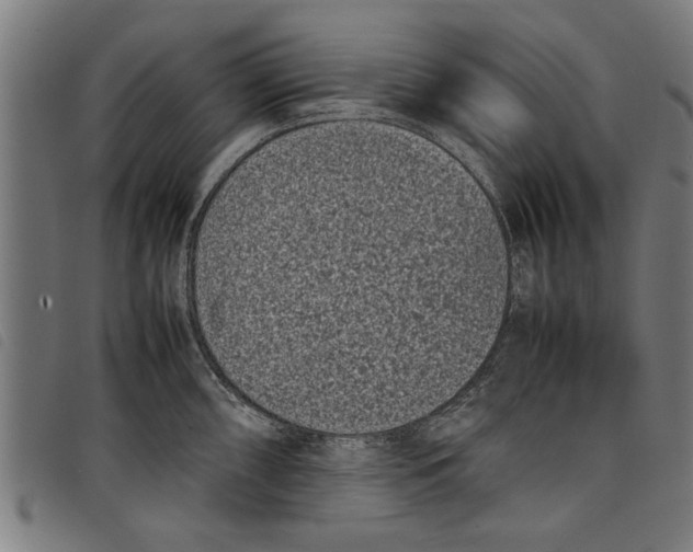 X0000097801098200804041309