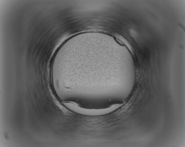 X0000097801099200804041309