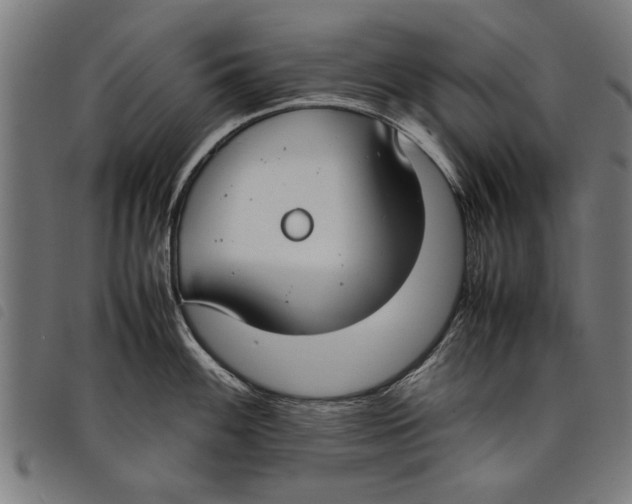 X0000097801100200804041309