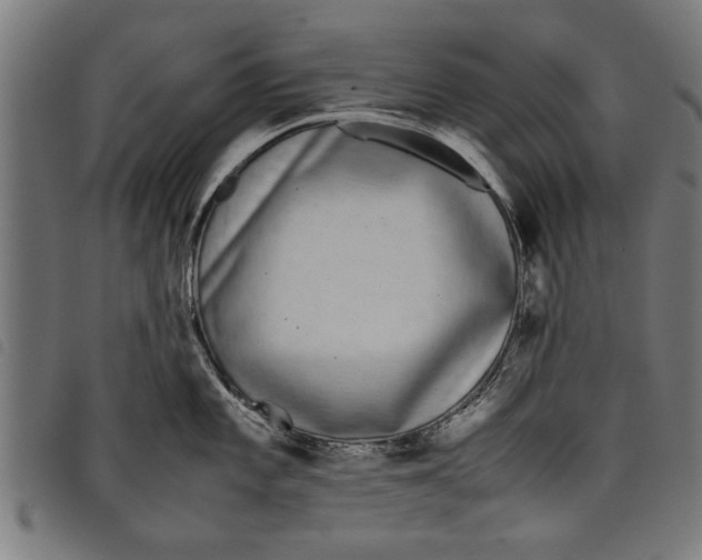 X0000097801101200804041309