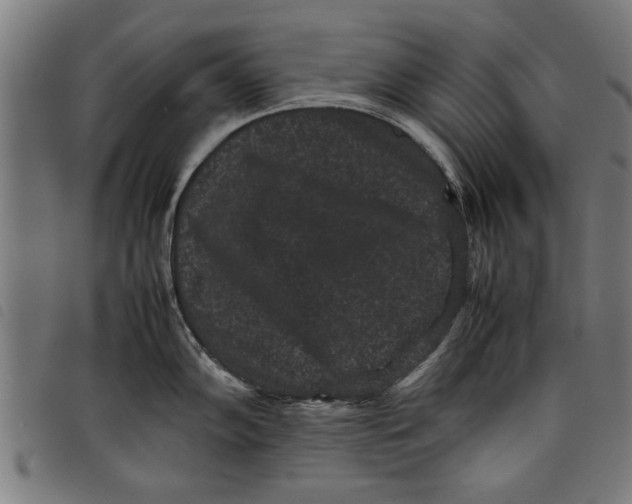 X0000097801102200804041309