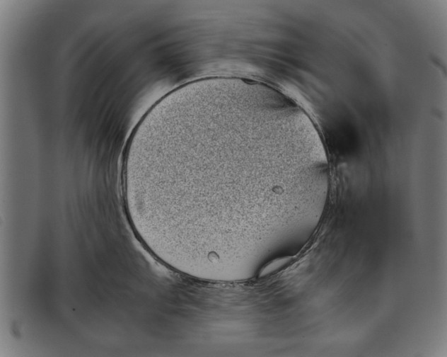 X0000097801103200804041309