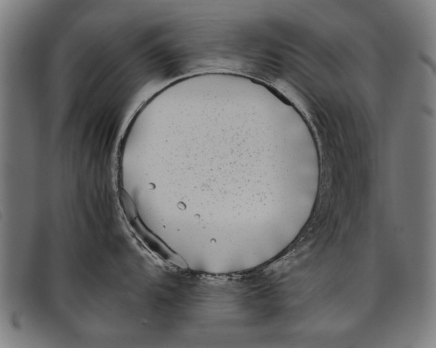 X0000097801104200804041309