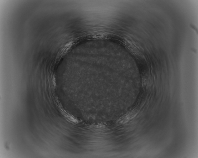 X0000097801106200804041308