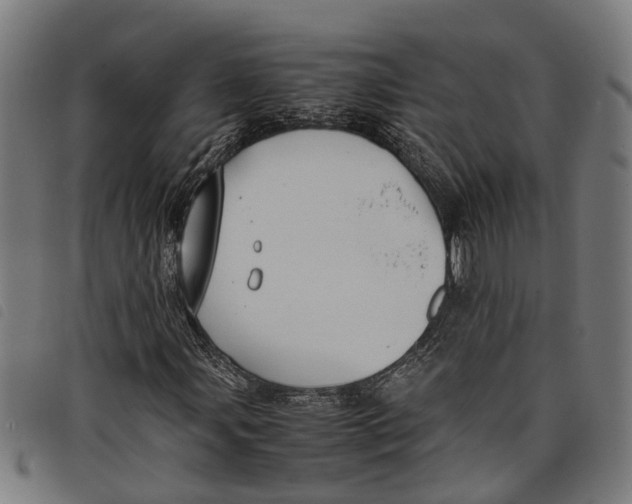 X0000097801107200804041308