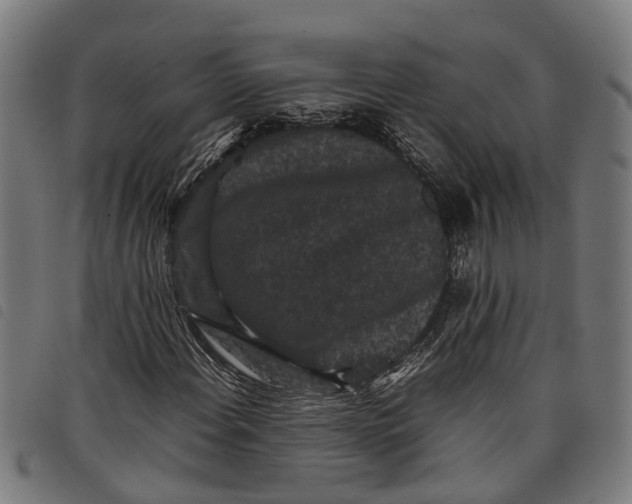 X0000097801108200804041308