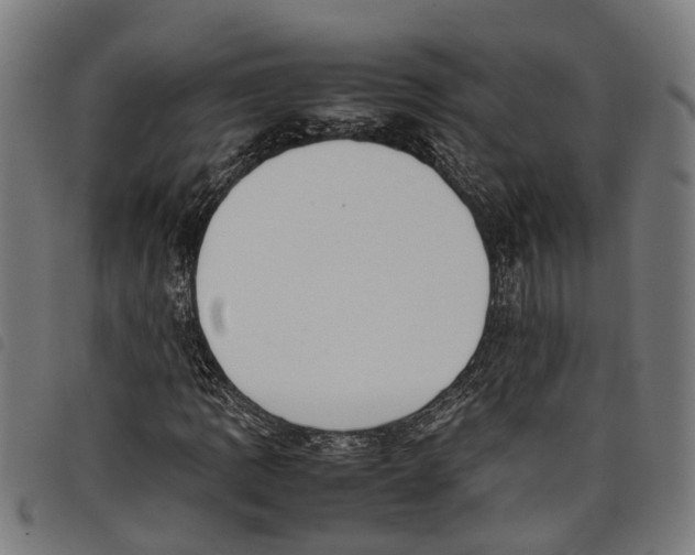 X0000097801109200804041308