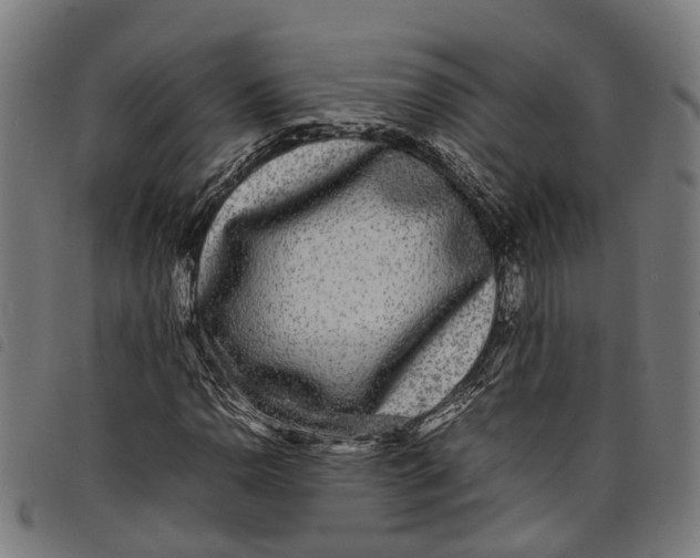 X0000097801110200804041308