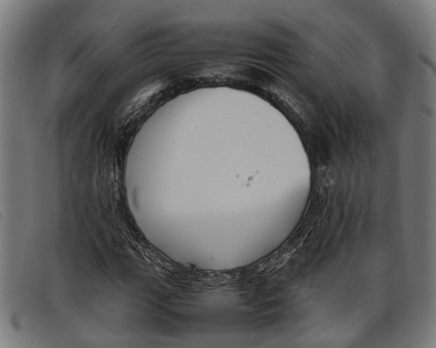 X0000097801111200804041308