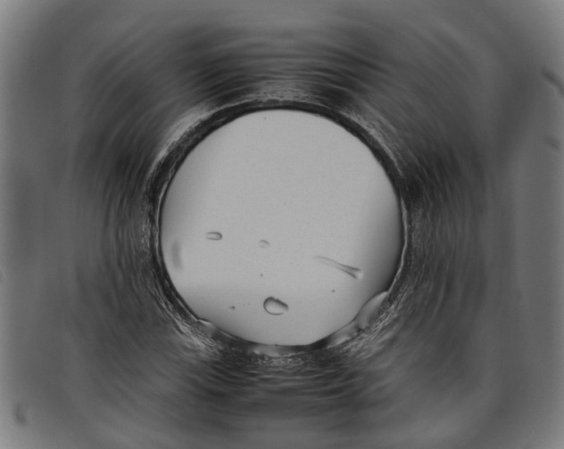 X0000097801115200804041308