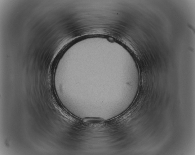 X0000097801116200804041308