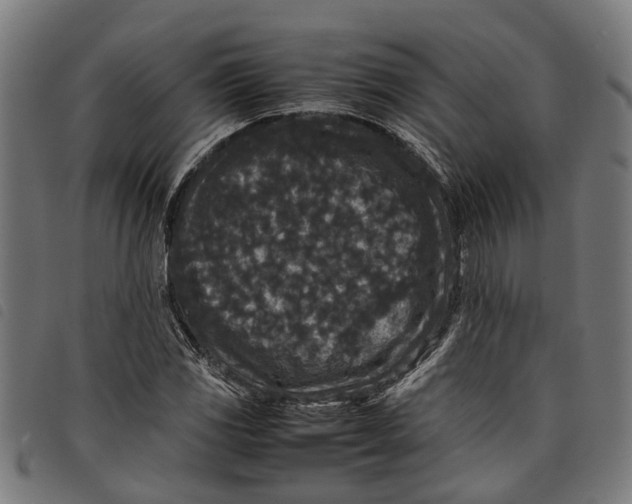 X0000097801117200804041308