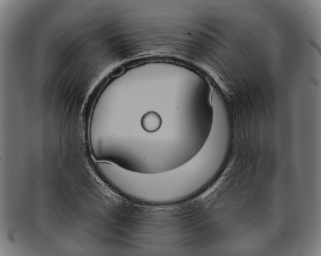 X0000097801118200804041308