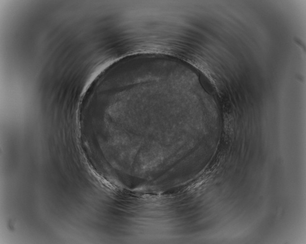 X0000097801120200804041308