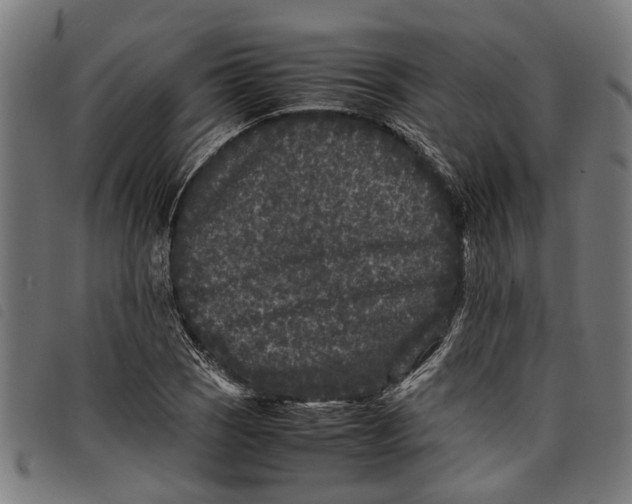 X0000097801121200804041308