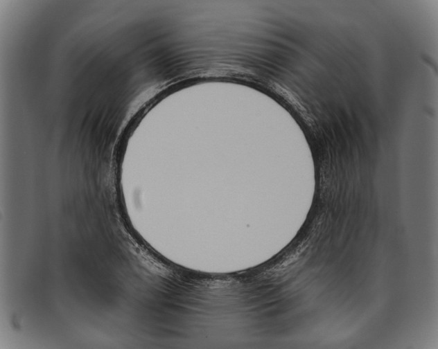 X0000097801122200804041308