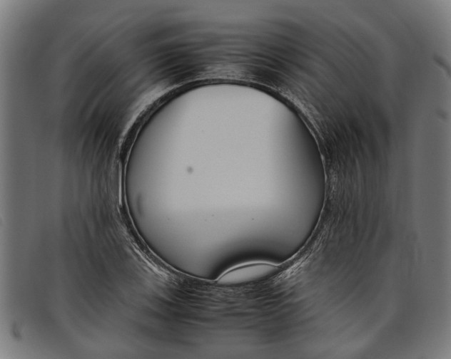 X0000097801123200804041308